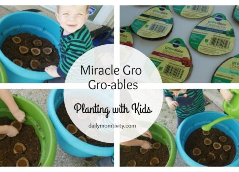 Miracle Gro-ables is the perfect activity to do with kids! #ad #GrowableProject