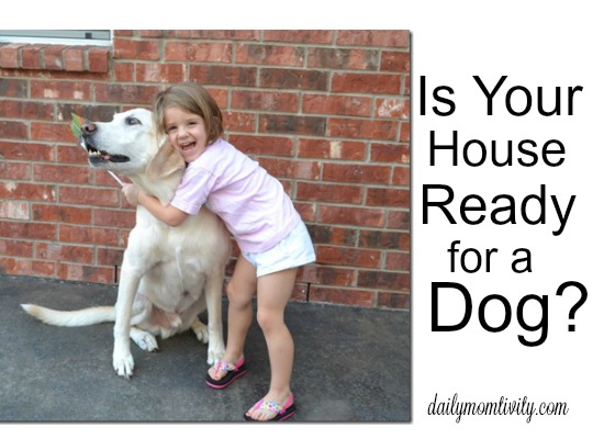 Is Your House Ready for a Dog