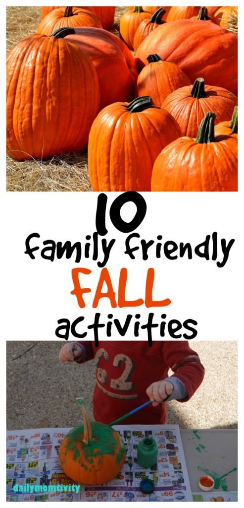 10 Family Friendly Fall Activities
