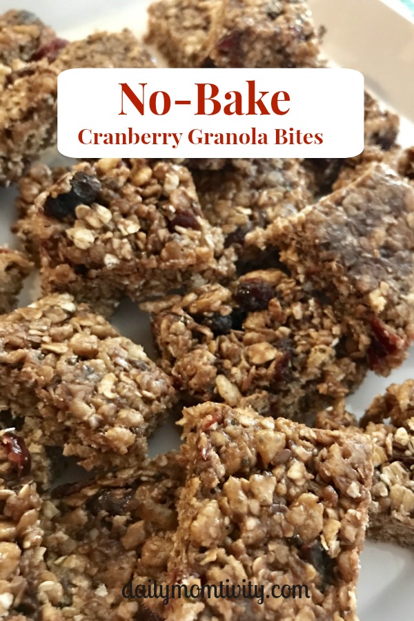 No Bake Cranberry Granola Bites 