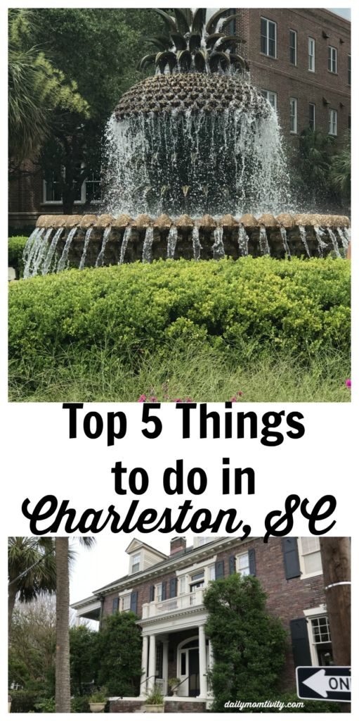 Top 5 Things to Do in Charleston, SC! All of my favorite spots including Callie's Hot Little Biscuits, Rainbow Row and where to shop!